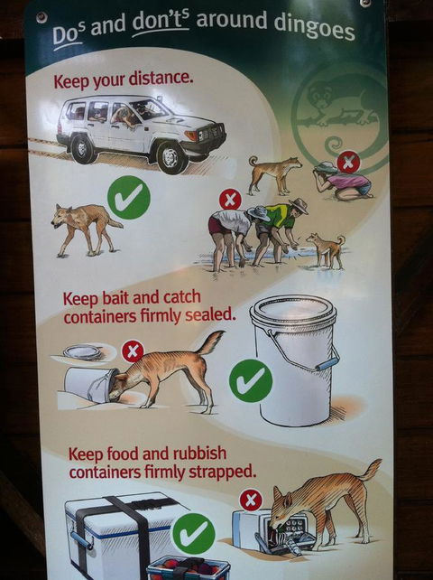 Fraser Island Retreat - Accommodation in Bendigo 32