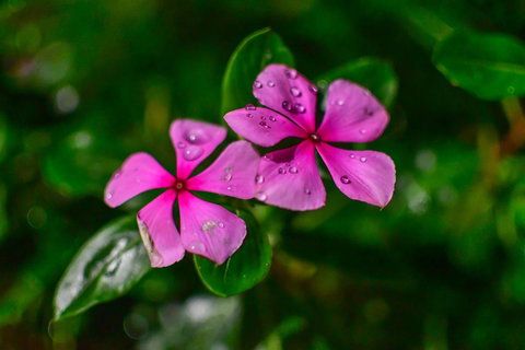 Blue Summit Hideaway - Accommodation in Bendigo 25