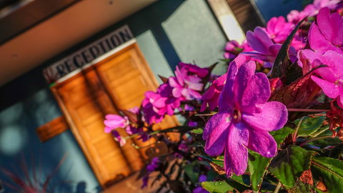 Blue Summit Hideaway - Accommodation in Bendigo 33