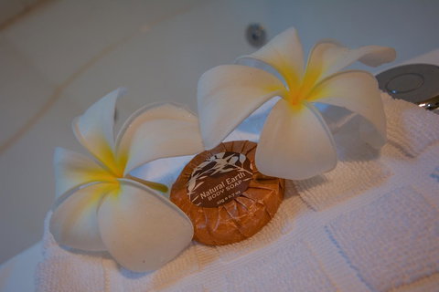 Blue Summit Hideaway - Accommodation in Bendigo 21