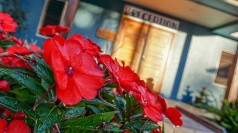 Blue Summit Hideaway - Accommodation in Bendigo 1