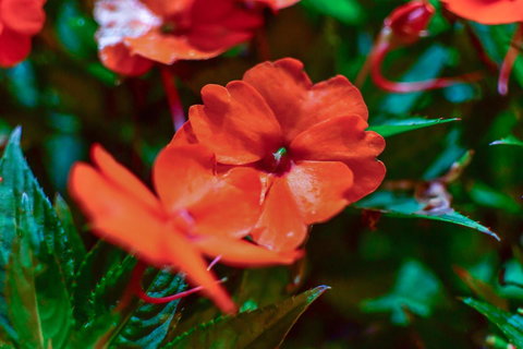 Blue Summit Hideaway - Accommodation in Bendigo 11