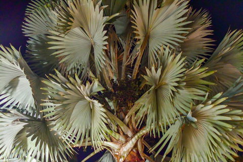 Blue Summit Hideaway - Accommodation in Bendigo 31