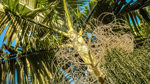 Blue Summit Hideaway - Accommodation in Bendigo 20