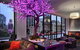 Sofitel Brisbane Central - thumb 40