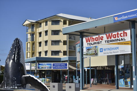Mantra Hervey Bay - Accommodation in Bendigo 23