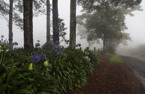 Bower 63 - Accommodation in Bendigo 26