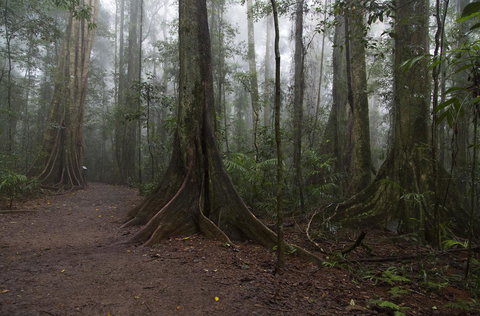 Bower 63 - Accommodation in Bendigo 38