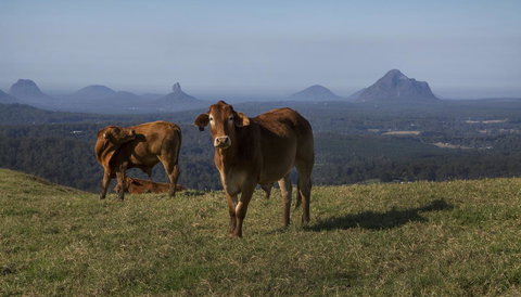 Bower 63 - Accommodation in Bendigo 29