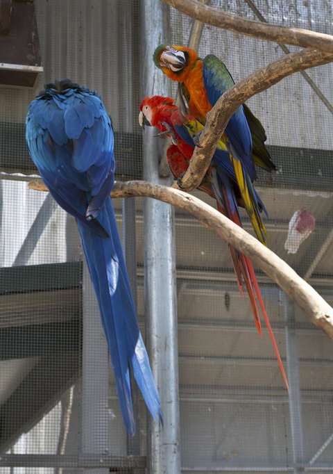 Bower 63 - Accommodation in Bendigo 35