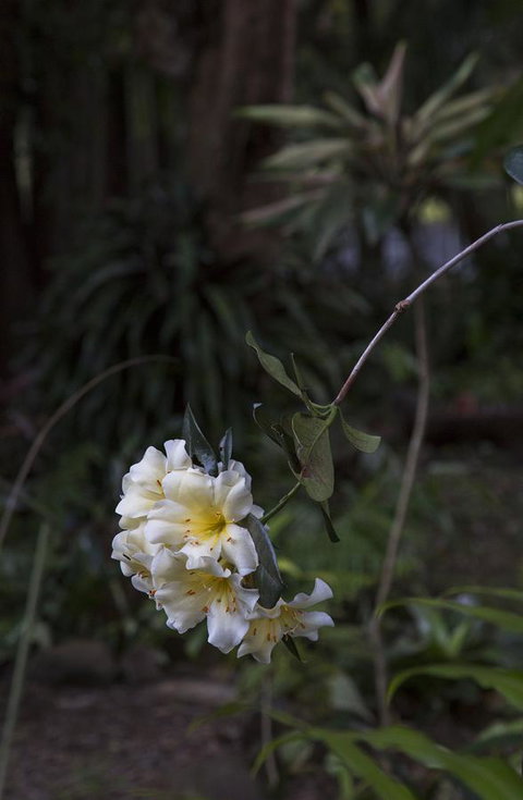 Bower 63 - Accommodation in Bendigo 18