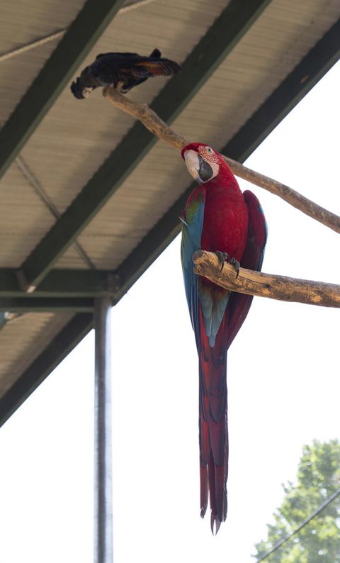 Bower 63 - Accommodation in Bendigo 36