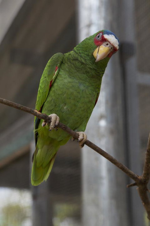Bower 63 - Accommodation in Bendigo 34