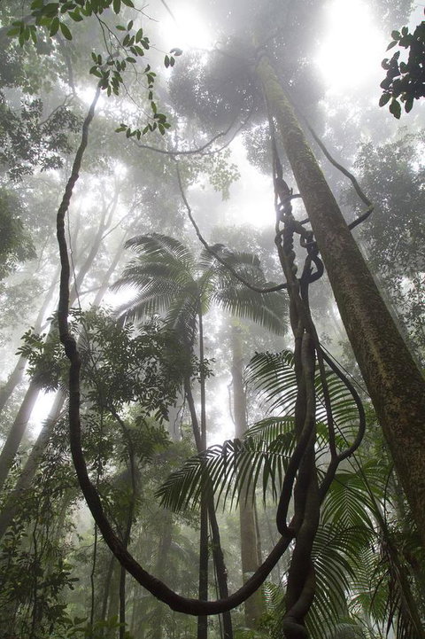 Bower 63 - Accommodation in Bendigo 39