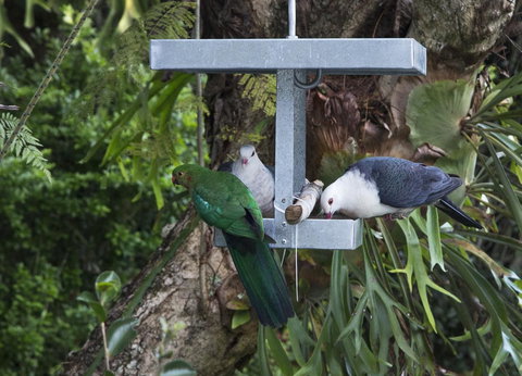 Bower 63 - Accommodation in Bendigo 22