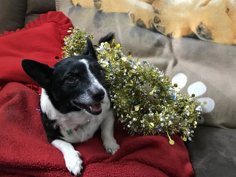 Nanango Star Motel - Accommodation in Bendigo 14