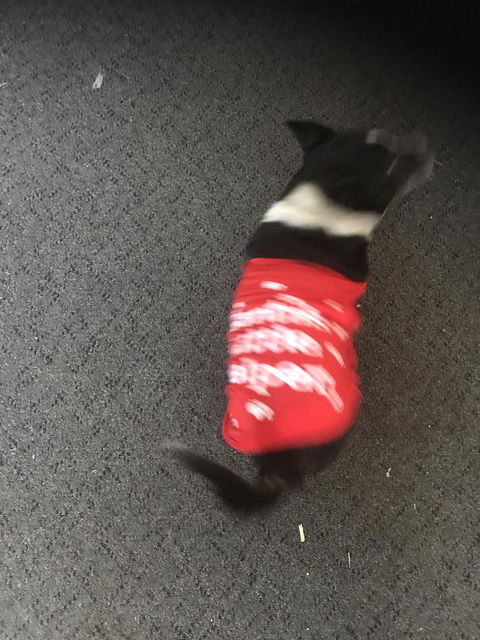 Nanango Star Motel - Accommodation in Bendigo 1