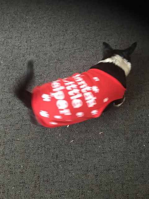 Nanango Star Motel - Accommodation in Bendigo 2