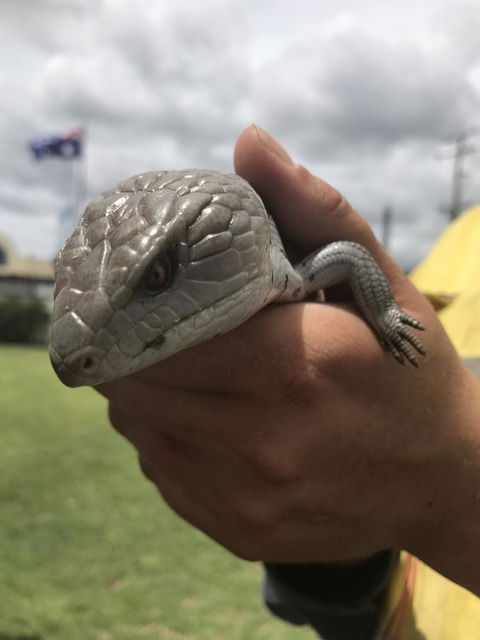 Nanango Star Motel - Accommodation in Bendigo 16