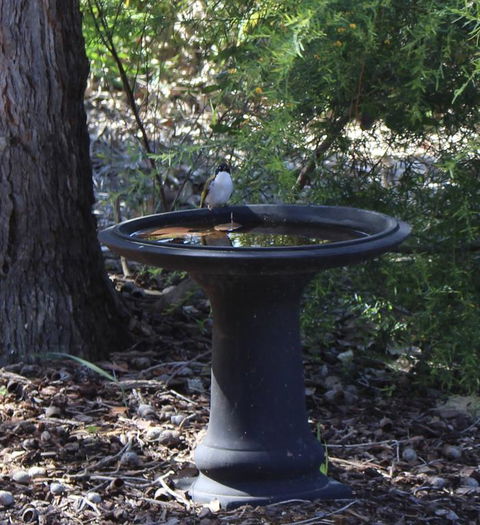 Waterside View - Accommodation in Bendigo 3