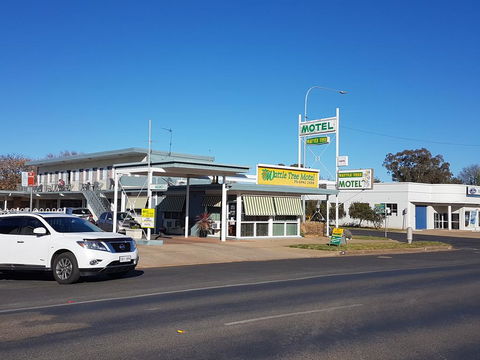 Wattle Tree Motel - Accommodation in Bendigo 0