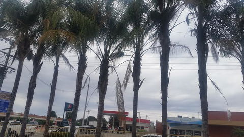 Wentworth Club Motel - Accommodation in Bendigo 2