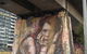 Wesley Taylor Art Studios Paint & Stay Plus Tour - thumb 1