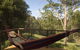 Whispering Valley Cottage Retreat - thumb 0