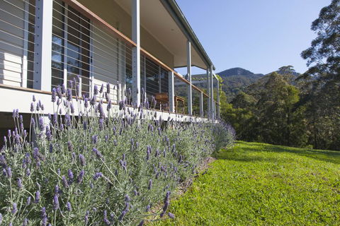 Wilderberry Cottage - Accommodation in Bendigo 3