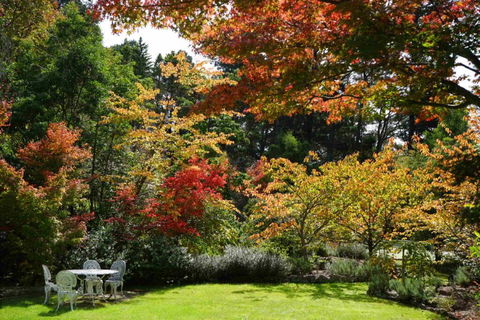 Wimbeldon - Accommodation in Bendigo 3
