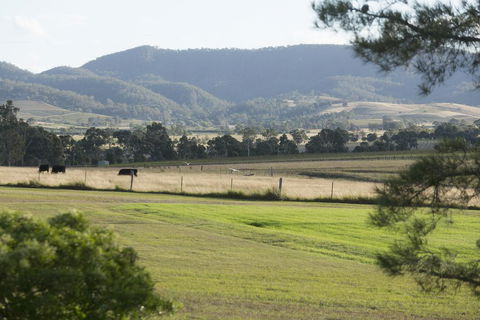 Windarra Lodge - Accommodation in Bendigo 3