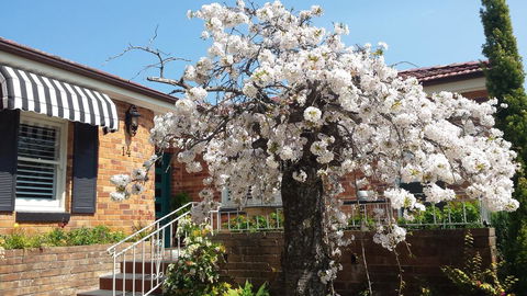 Winston Cottage At Three Sisters - Accommodation in Bendigo 3