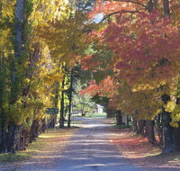 Wombeyan Caves - Accommodation in Bendigo
