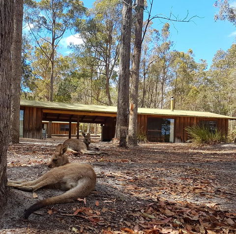 Woodbine Park Eco Cabins - Accommodation in Bendigo 2