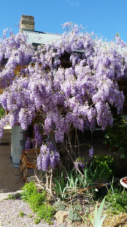 Woodvale At Cooma - Accommodation in Bendigo 3