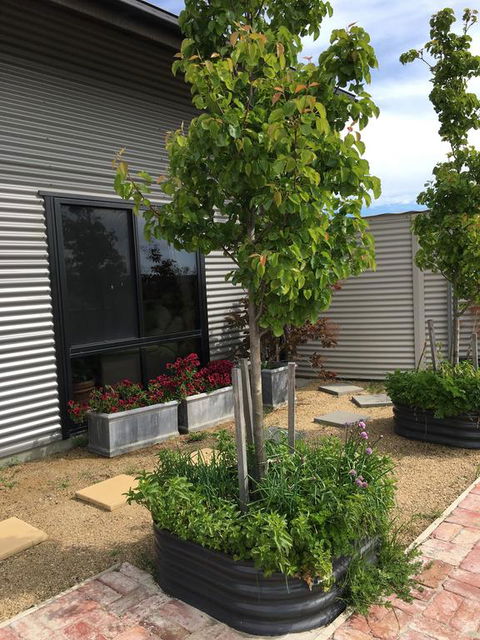 Woolamai Dreaming - Accommodation in Bendigo 2