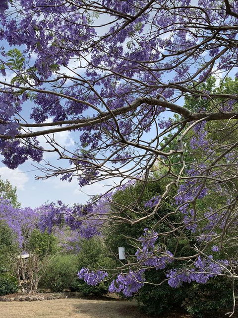 Wyndover Mountain Retreat - Accommodation in Bendigo 1