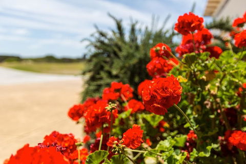 Wytonia Beachfront Accommodation - Accommodation in Bendigo 3