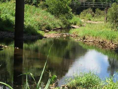 Yandina Caravan Park - Accommodation in Bendigo 2