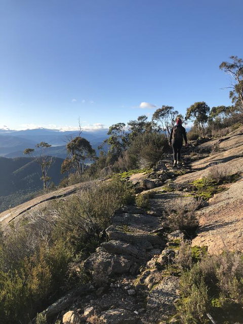 Yours And Theirs Pet Friendly Accommodation - Accommodation in Bendigo 0