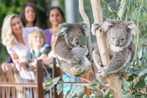 A 3BR Apt Next To Melbourne Zoo FREE Parking - Accommodation in Bendigo 2