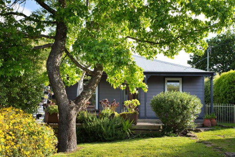 Absolute - Accommodation in Bendigo 0