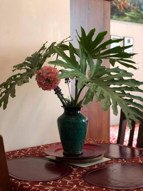 Albany Foreshore Guest House - Accommodation in Bendigo 2