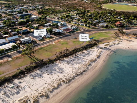 API Pelican Beach Front Apartments Kalbarri - Accommodation in Bendigo 1