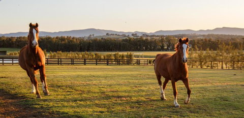 Argentille Boutique Accommodation - Accommodation in Bendigo 1