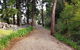 Bee-Haven Cottage - thumb 4