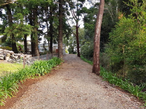 Bee-Haven Cottage - Accommodation in Bendigo 4