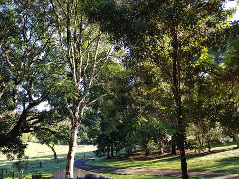 Bee-Haven Cottage - Accommodation in Bendigo 7