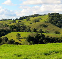 Maleny Springs Farm - Accommodation in Bendigo