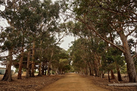 Hanson Bay Cabins - Accommodation in Bendigo 21